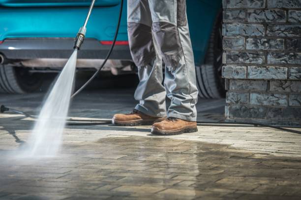 Best Brick and Stone Cleaning in Carrollton, GA